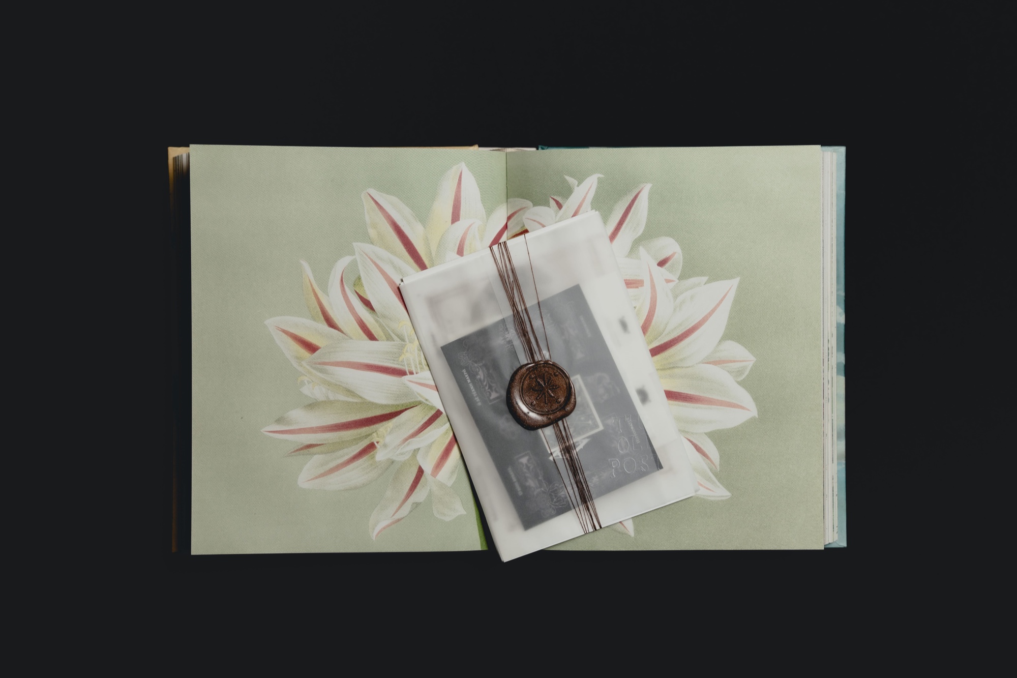 The contents of a dispatch